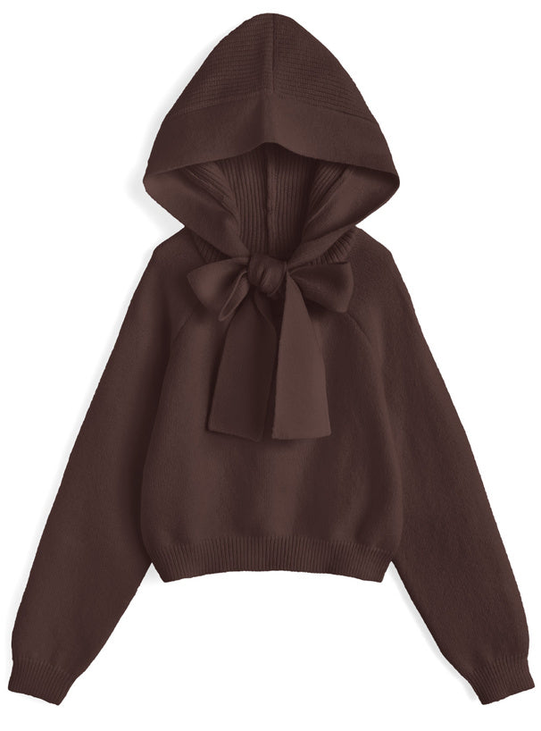 Hooded Ribbon Knit Top 連帽蝴蝶結針織上衣 [an1925] — 5